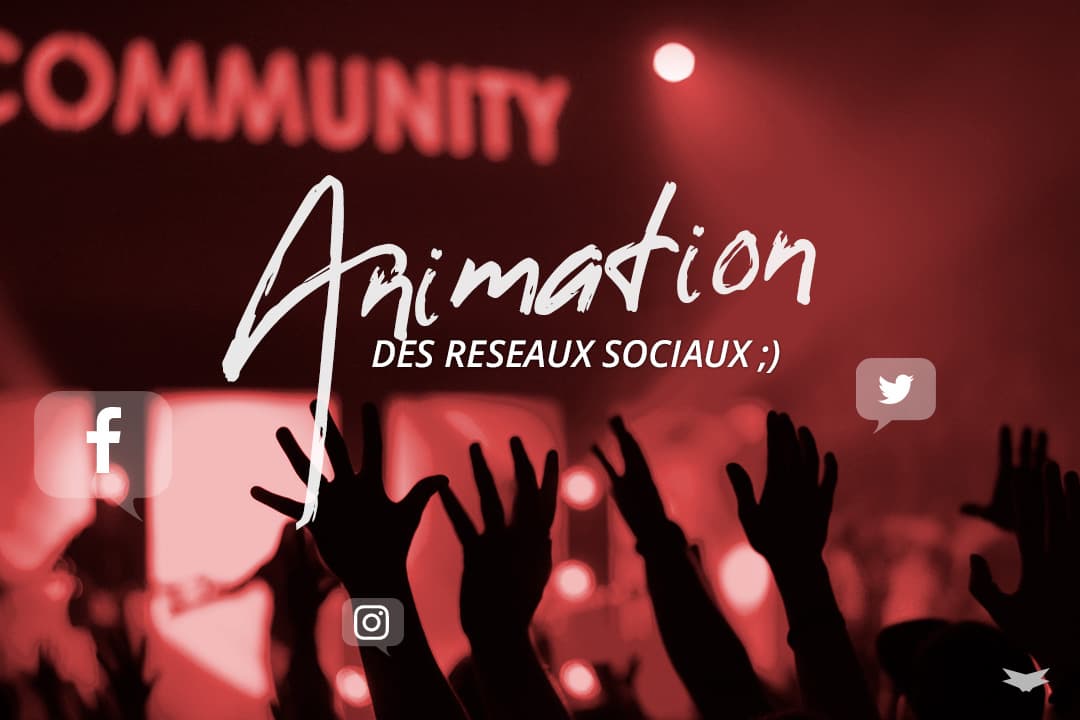 Animation Des Reseaux Sociaux 1080 720