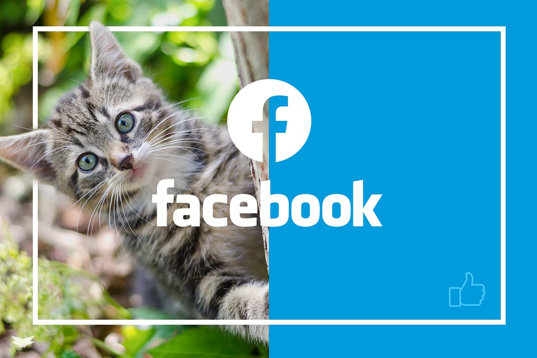 Facebook 1080 720 Chat facebook