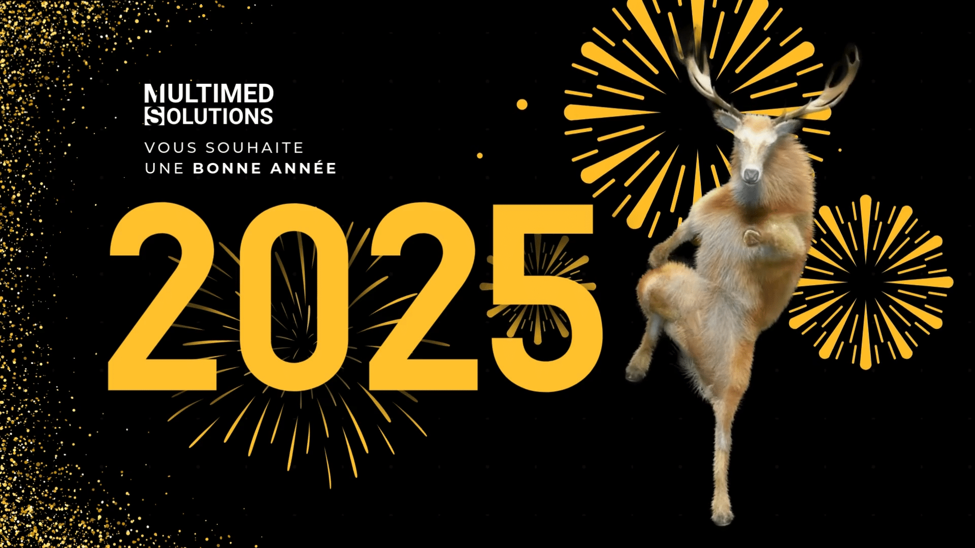 Bonne Année 2025 Meilleurs vœux 2025